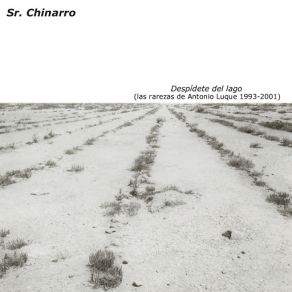 Download track Ondina Sr. Chinarro