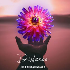 Download track Distance (Instrumental) Ples JonesΟΡΓΑΝΙΚΟ