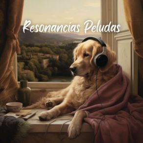 Download track Dulce Ronquido Mascotas Tranquilas