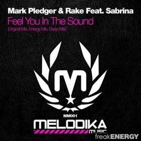 Download track Feel You In The Sound (Original Mix) Mark Pledger, Rake, Sabrina