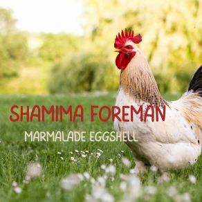 Download track Material Jostle Shamima Foreman