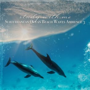 Download track Subterranean Ocean Beach Waves Ambience, Pt. 20 Sebastian Riegl