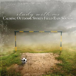 Download track Calming Outdoor Sports Field Rain Sounds, Pt. 4 Sebastian Riegl