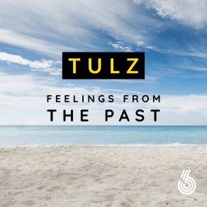 Download track Feelings From The Past (Instrumental Mix) Tulz