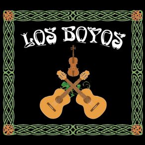 Download track Boys Of Malin / Paddy's Trip To Scotland / Finbarr Dwyer's Los Boyos