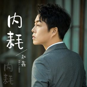 Download track 内耗 (伴奏) Zhao Xin