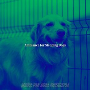 Download track Energetic Ambience For Training Dogs Music For Dogs Orchestra