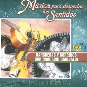 Download track La Pajarera Mariachi Garibaldi