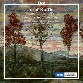 Download track Musique Quasi Una Sonata, Op. 8: III. Allegretto, A La Polonaise Zebra Trio, Johannes Kalitzke, OENM, Martin Von Der HeydtMartin Der Heydt