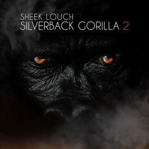 Download track What You Want The Money For Sheek Louch, Swizz Beatz