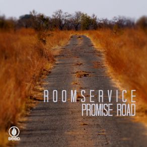 Download track Promise Road (Le Coustic Sole Touch Mix) Room Service