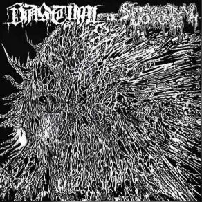 Download track Katabatic Depths VastumSpectral Voice