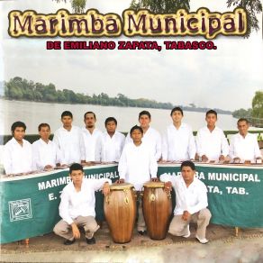 Download track Homenaje A Luis Alcaraz Marimba Municipal De Emiliano Zapata