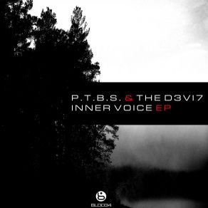 Download track Inner Voice (Original Mix) THE D3VI7