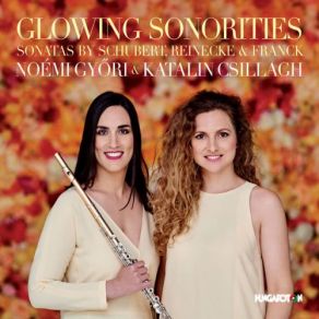 Download track Arpeggione Sonata In A Minor, D. 821 (Arr. For Flute & Piano): III. Allegretto Noémi Győri, Katalin Csillagh