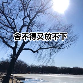 Download track 舍不得又放不下 (伴奏) 怦然音动