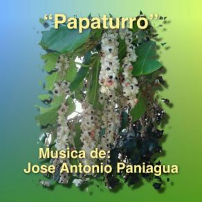 Download track Somos Amigos Jose Antonio Paniagua