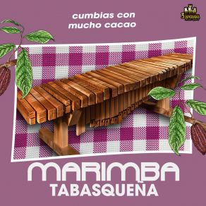 Download track Chile Verde Marimba Tabasqueña