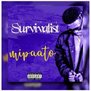 Download track Alert MipaatoPatrick Apana