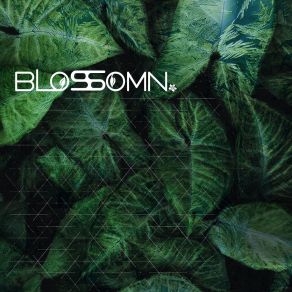 Download track Plunge Blossomn