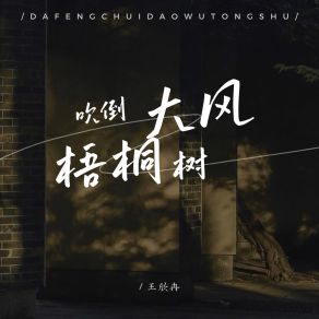 Download track 大风吹倒梧桐树 (深情版伴奏) 王欣冉