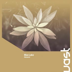 Download track Bass Control Max Lake