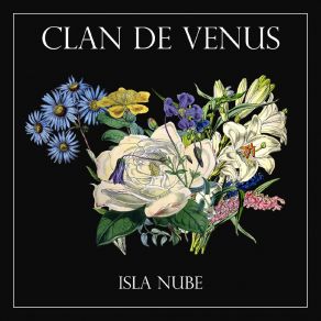 Download track Si Pudiera Verte Clan De Venus