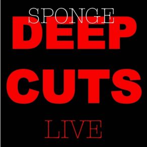 Download track Punch In The Nose (Live) Sponge