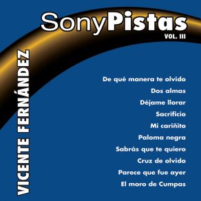 Download track Sabrás Que Te Quiero Pista