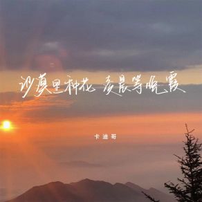 Download track 沙漠里种花凌晨等晚霞 卡迪哥