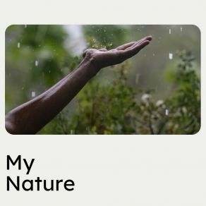 Download track Gentle Raindrops, Pt. 18 Recording Nature