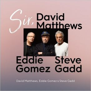 Download track See You Again Dave Matthews, Eddie Gomez, Steve Gadd