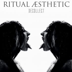 Download track Decollect (Transition Clinic Awakening) Ritual Aesthetic