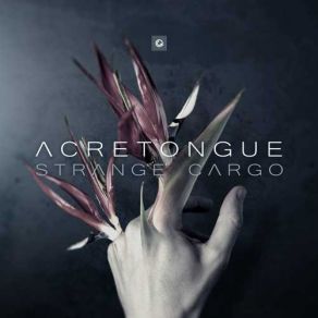 Download track Flowers In The Attic Acretongue