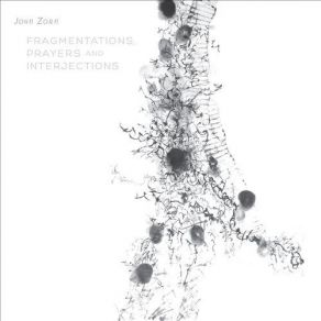 Download track Orchestra Variations John Zorn