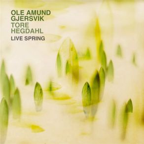 Download track Ned I Vester Soli Glader (Live In Aarstad Church In Bergen - March 7.2019) Tore Hegdahl