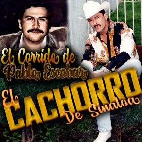 Download track Del Cielo Al Suelo De Sinaloa