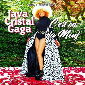 Download track C'est Ça La Meuf Java Cristal Gaga