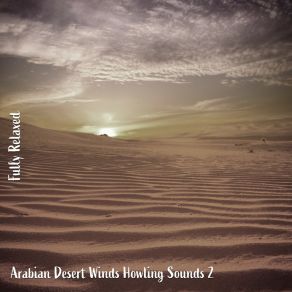 Download track Arabian Desert Winds Howling Sounds, Pt. 3 Steve Brassel