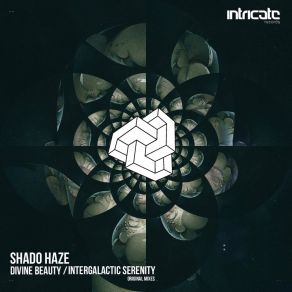 Download track Divine Beauty Shado Haze