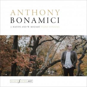 Download track Keyboard Sonata In D Major, Op. 13 No. 4, Hob. XVI. 24: II. Adagio Anthony Bonamici