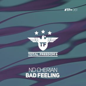 Download track Bad Feeling (Extended Mix) ND Cherian