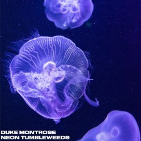 Download track Galactic Squid Duke Montrose