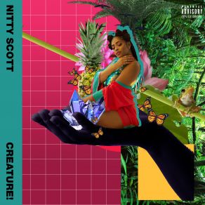 Download track Kaleidoscopes Nitty Scott