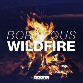 Download track Wildfire (Original Mix) Borgeous