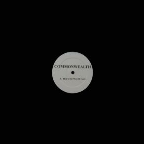 Download track That's The Way It Goes (Radio Edit) The Commonwealth