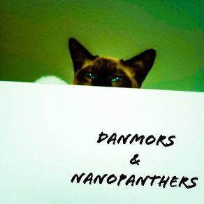 Download track Lofi De La Alhambra DanMors & NanoPanthers