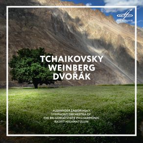 Download track Variations On A Rococo Theme, Op. 33: Var. 1. Tempo Della Thema Alexander Zagorinsky, Rashit Nigamatullin, Symphony Orchestra Of The Belgorod State Philharmonic