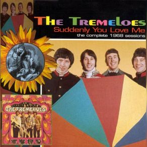 Download track E In Silenzio [Italian Version Of Silence Is Golden] The Tremeloes