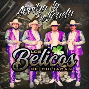 Download track El Nini Los Belicos De Culiacan